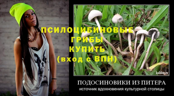 винт Алзамай