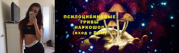 винт Алзамай