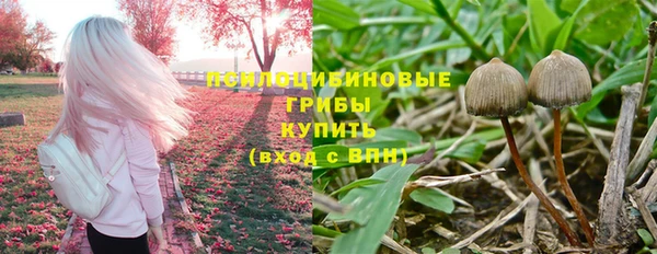 МДПВ Алексин