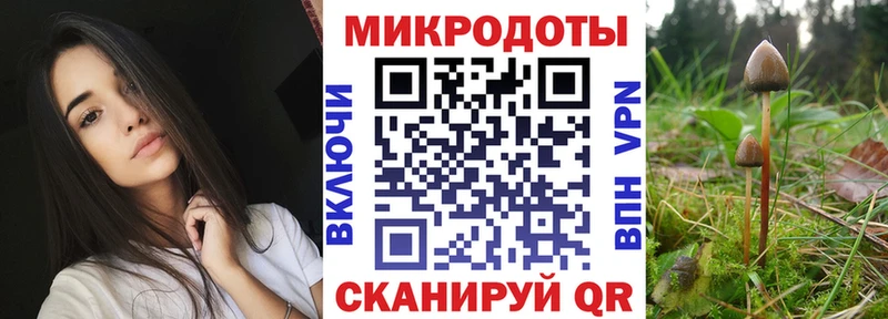 Псилоцибиновые грибы мицелий Новоузенск