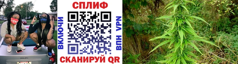наркота  blacksprut зеркало  Марихуана Bruce Banner  Новоузенск 